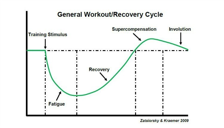 overtraining_diagram